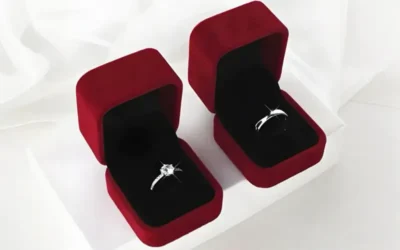 Velvet Crown Box