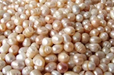 Pearl