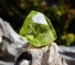 Peridot