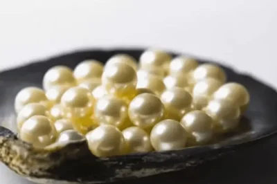 Round Pearl